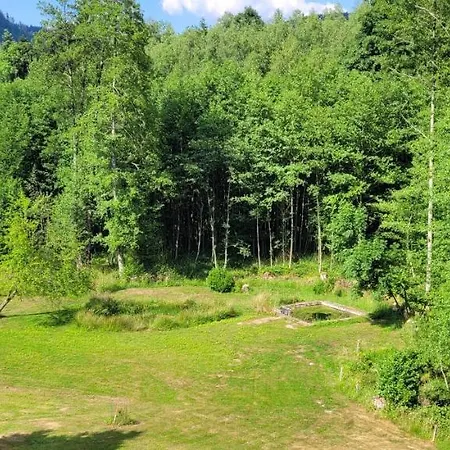 Forestier Du Moulin * Raon-sur-Plaine