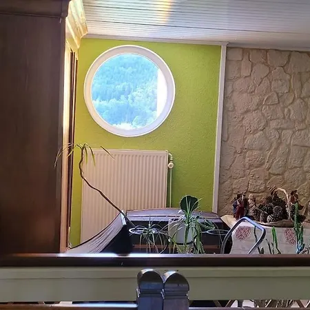 Appartement Forestier Du Moulin Raon-sur-Plaine
