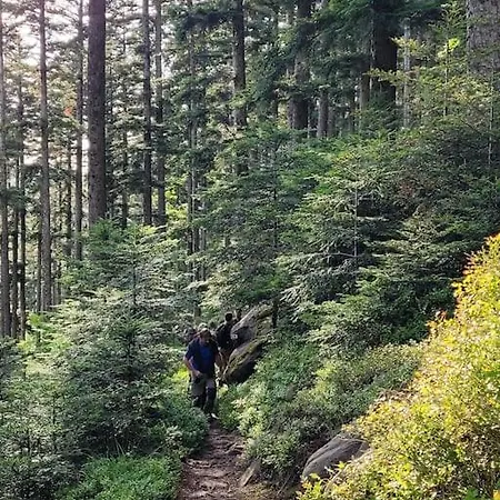 Forestier Du Moulin דירה Raon-sur-Plaine