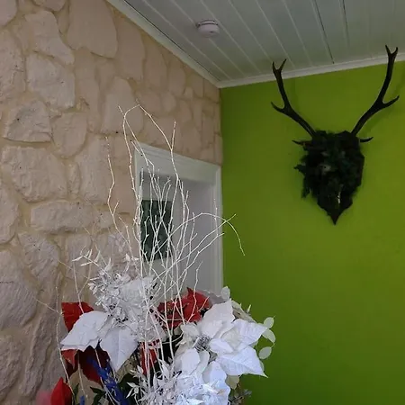 Apartment Forestier Du Moulin Raon-sur-Plaine