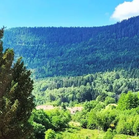 Forestier Du Moulin * Raon-sur-Plaine