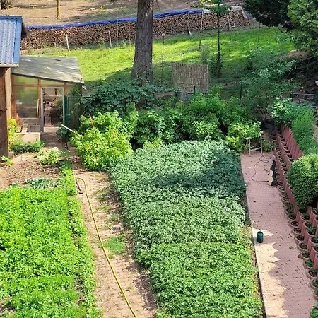 Forestier Du Moulin דירה Raon-sur-Plaine