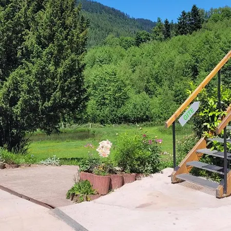 Forestier Du Moulin *