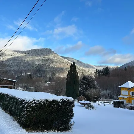 Forestier Du Moulin דירה Raon-sur-Plaine