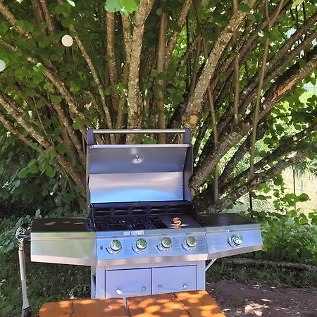 Forestier Du Moulin - 10 Pers * Raon-sur-Plaine