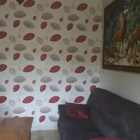 Forestier Du Moulin - 10 Pers * Raon-sur-Plaine