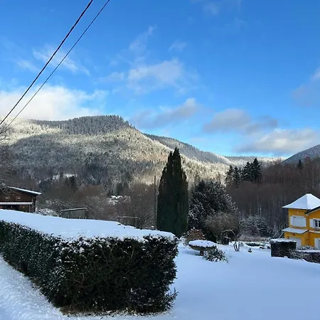 Apartament Forestier Du Moulin - 10 Pers *