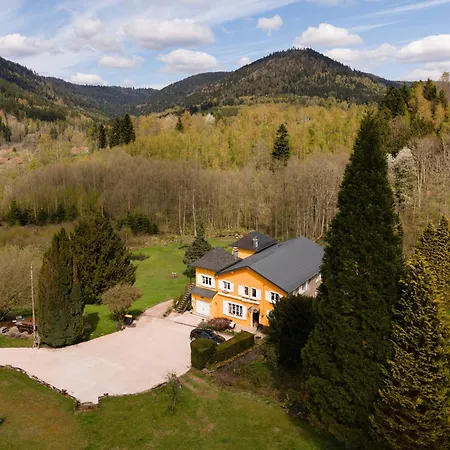 Forestier Du Moulin - 10 Pers Apartment Raon-sur-Plaine
