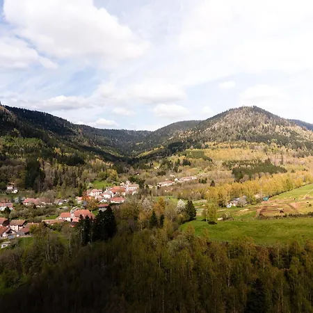 Forestier Du Moulin - 10 Pers Raon-sur-Plaine