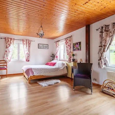 Apartamento Forestier Du Moulin - 10 Pers Raon-sur-Plaine