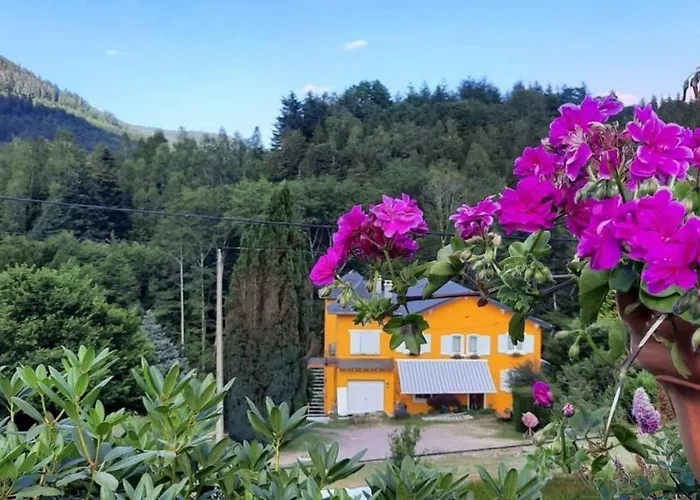 Forestier Du Moulin - 10 Pers