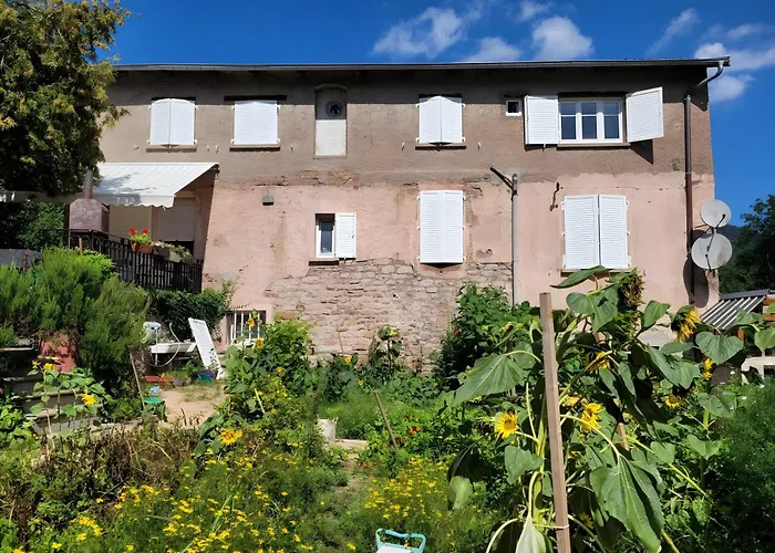 Forestier Du Moulin - 10 Pers * Raon-sur-Plaine