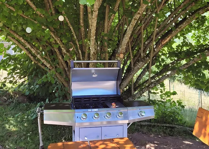 Forestier Du Moulin - 10 Pers * Raon-sur-Plaine