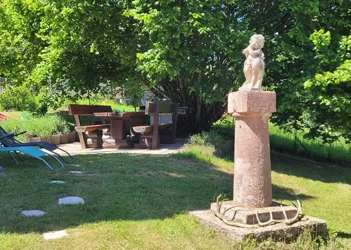 Forestier Du Moulin - 10 Pers * Raon-sur-Plaine