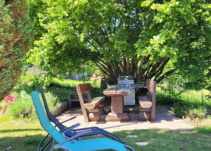 Forestier Du Moulin - 10 Pers Apartament Raon-sur-Plaine