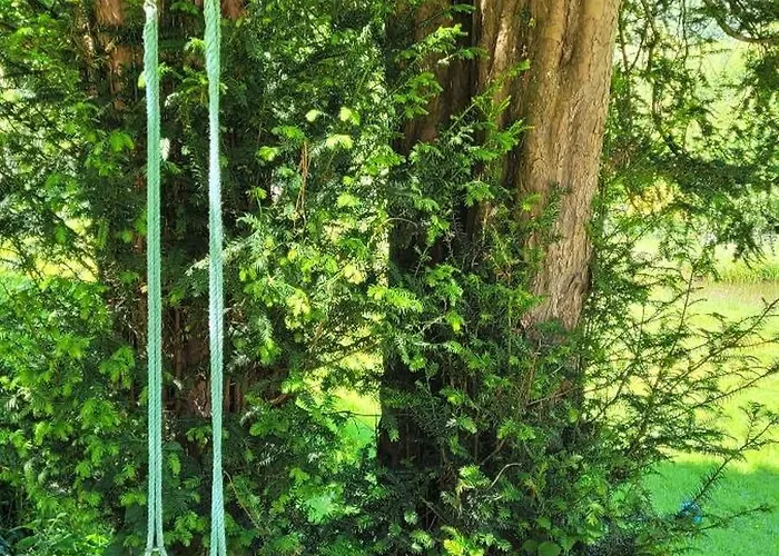 Forestier Du Moulin - 10 Pers Apartament Raon-sur-Plaine