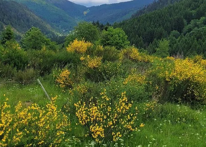 Forestier Du Moulin - 10 Pers Apartament *