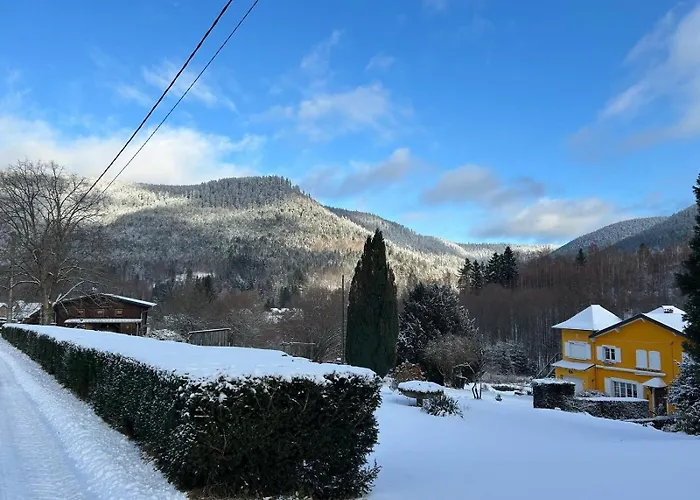 Apartament Forestier Du Moulin - 10 Pers *